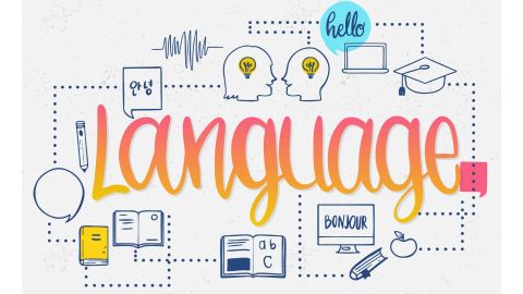 Texte alternatif de l'image
